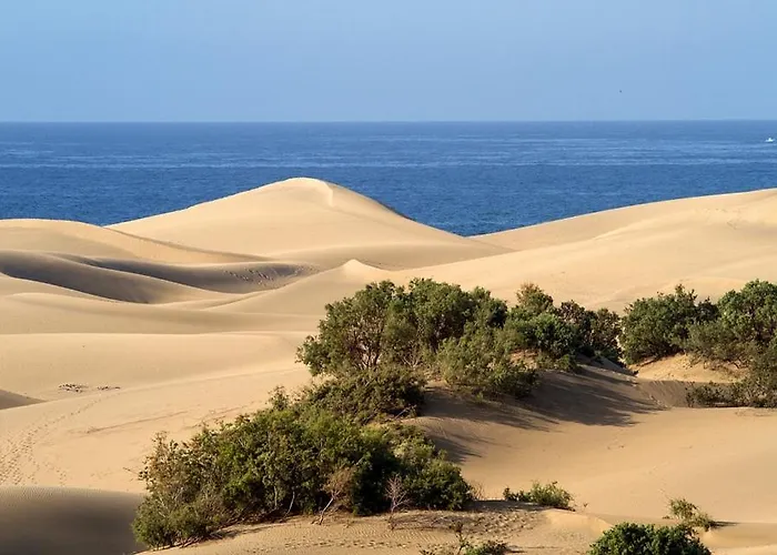 Maspalomas Love Maspalomas (Gran Canaria)