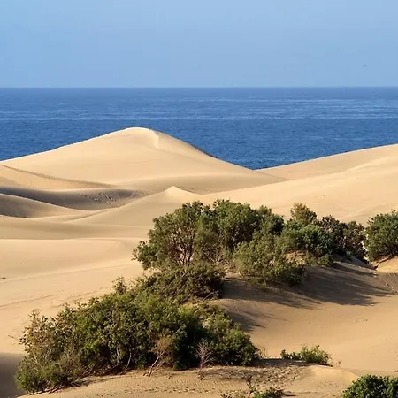 Maspalomas Love 马斯帕洛马斯